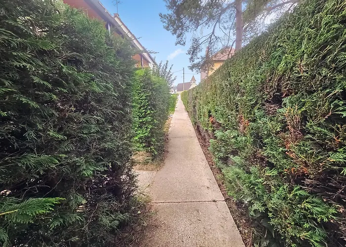 Appartamento F2 Cosy Avec Balcon *